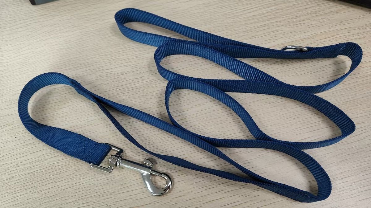 PawRegal Evcil Hayvan Kedi Tavşan Çift Saplı Elde Taşınabilir Büyük Köpek Dış Mekan Tasması CL0011_voghion.com