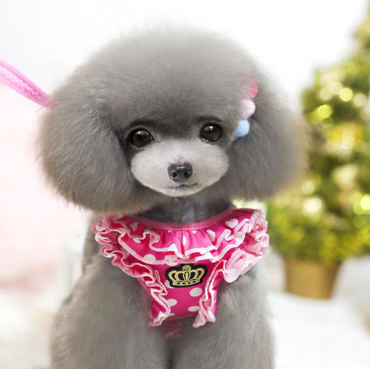 Puppy New Cat Vest-Style Pet Harness Leash_voghion.com