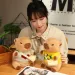 Kapibara Plišane Životinje Igračke Kreativne Crtane Plišane Lutke Kawaii Soba Dekor Izvrsni Rođendanski Pokloni Mogu Presvući Odjeću_voghion.com
