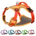 Anti-Explosion Pet Harness Vest Style Small And Medium Dog Walking Leash Reflective Waterproof Neck Collar_voghion.com