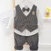 Babykleidung Jungen Langarmhose Weste Dreiteiliges Kleid für Kinder Tausend Vogel Gitter Leistung Gentleman_voghion.com
