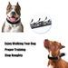 Stimulation Training Supplies Spike Neck Collar Pet Dog Chain_voghion.com