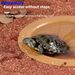 Turtle-specific Water Basin, Tortoise Bath Basin, Semi-water Turtle Drinking Tray, Climbing Pet Turtle Tank, Landscaping_voghion.com