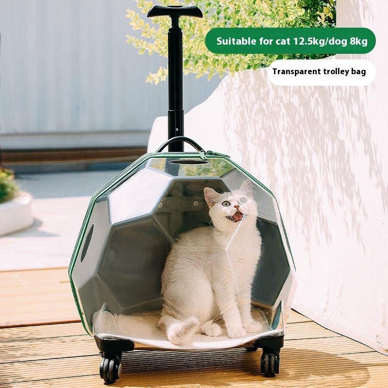 Pet Trolley, Bag, Portable Cat Luggage, Transparent Large Dog Travel Box, Cart, Space Cabin_voghion.com
