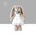Style White Gauze Skirt Dress Rabbit Plush Toy Girl Sleeping Comfort Doll Birthday Gift Souvenir Doll_voghion.com