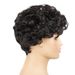 Foreign trade short hair wig for women with curly hair Short curly wig for African women Short curly wig for women_voghion.com