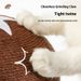 Pet climbing frame, sisal scratching wear-resistant and shavings resistant t, large mushroom claw board, upright cat_voghion.com