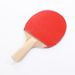 F101-2S Two Rackets Three Balls Table Tennis Racket Net Stand Toy Set_voghion.com