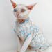 Hot Sale Summer Japanese And Korean INS Hairless Cat German Ragdoll Same Style Pet Clothes_voghion.com