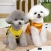 Spring Thin Teddy Bichon Pet Clothes Cat Small Dog Summer Leashable Bee Vest_voghion.com
