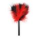 BDSM Purple Flirting Feathers Scattered Red Purple Plastic Rod Flirting Pen Holder Chicken Feather Rod For Women_voghion.com