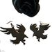 Earrings Gothic acrylic crow earrings_voghion.com