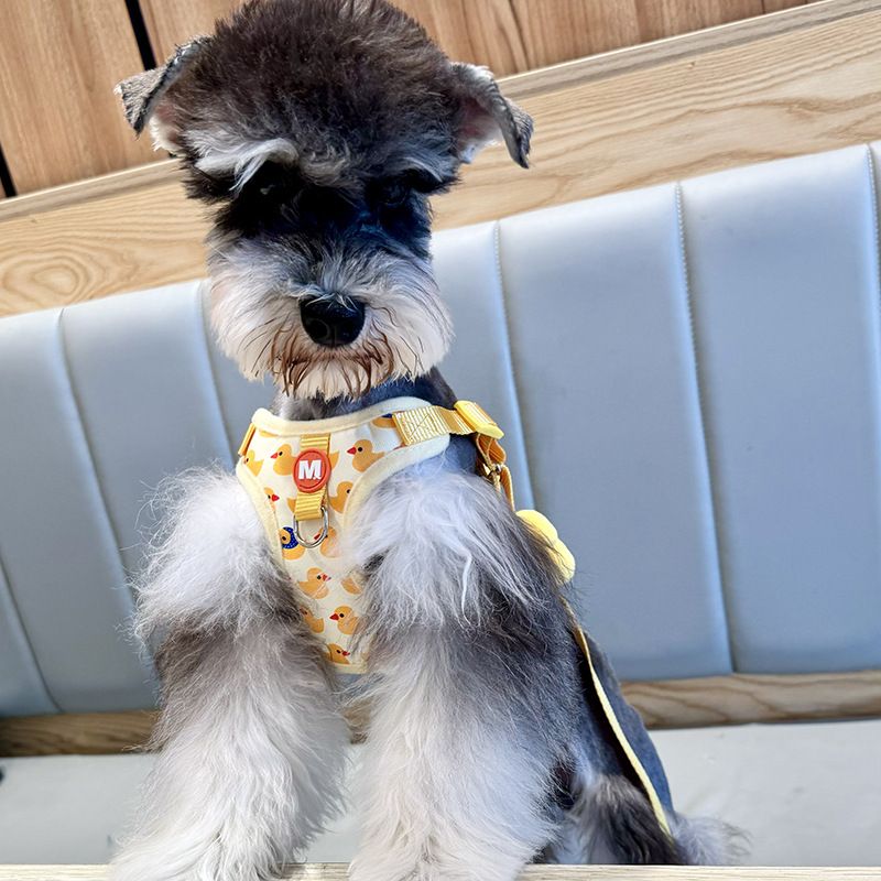 Pet Outdoor Leash Set C-Shape Duck Harness_voghion.com