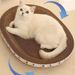 Cat Scratcher Cardboard Oval Cat Scratch Pad Bowl Nest For Indoor Cats Grinding Claw Round Cat Scratching Board_voghion.com