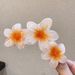 Flower Shape Hair Claw Strong Grip Anti-slip Hair Clip Shower Back Head Hair Clip Vacation Hair Accessories_voghion.com