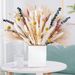 Reed Rabbit Tail Whisk Small Pampas Grass Home Decoration Mixed Dried Flower Bouquet_voghion.com
