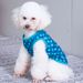 Dog New Vest Summer Thin Teddy Bichon Cat Pet Clothes Long-lasting_voghion.com
