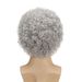 Perruques synthétiques à clips pour hommes, cheveux courts et bouclés, gris, petite coiffure bouclée, perruque duveteuse pour Halloween, cosplay_voghion.com