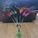 High-Quality Spring Big Feather Bendable Pet Cat Toy Teaser Wand_voghion.com