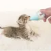Replaceable Silicone Nipples Puppy Nursing Bottles Reusable Kitten Bottle Feeding Kit Feeder Accessories For Newborn Pets_voghion.com