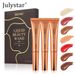 Blush Face Matte Easy To Color Rouge Blush Liquid Highlighter Fine Shimmer Contour Brightening Contour 3 Sets_voghion.com