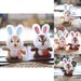 Plush Squirrel Adorable Toy Keychain Cute Bag Charm Soft Short Plush Doll_voghion.com