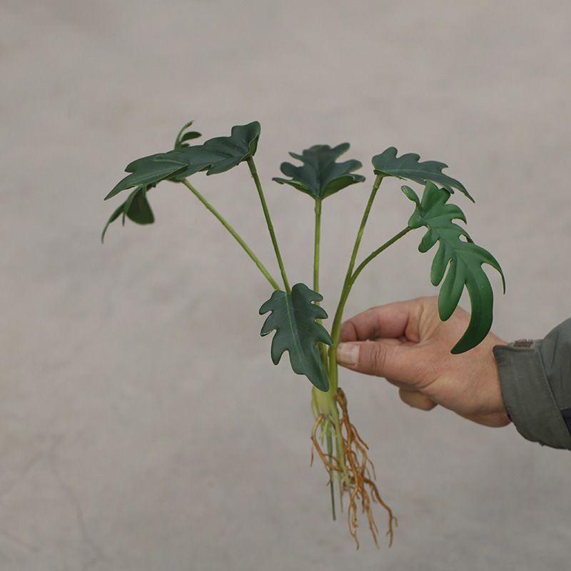 Nordisk regnskov med rodgrønne planter bonsai kunstige blade føles skildpaddeblad æbleblad landskabspleje bryllup_voghion.com