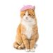 Strictly Select Autumn And Winter Pet Hats, Cat Berets, Dog Wool Warm Headgear Accessories_voghion.com