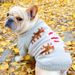 Pet Circle Cat Clothing Apparel Maglione con renna per cani grassi - Stile Bulldog francese_voghion.com