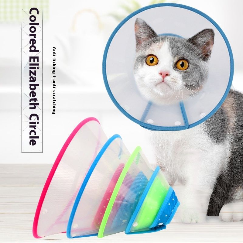 Inel protector transparent colorat Elizabeth Circle pentru câini, 4 dimensiuni, acoperire pentru cap de pisică anti-mușcătură pentru animale de companie_voghion.com