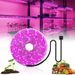 USB LED Plant Grow Light Strip For Indoor Plants, Flexible Full Spectrum Grow Light With 60 LEDs, IP20/IP65 Waterproof, 1/2/3/4/5 Meter Options_voghion.com
