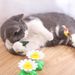 New Rotating Electric Butterfly, Hummingbird And Bee Pet New Product Rotating Around Flowers To Cats And Butterflies Pet Toys_voghion.com