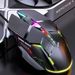 Mouse da gioco cablato con 4 DPI regolabili (fino a 3200), design ergonomico, clic silenziosi e illuminazione RGB per PC, laptop, ufficio ed eSport_voghion.com