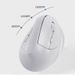 Ergonomic Wireless Vertical Mouse With Silent Click, Bluetooth & 2.4G Dual Mode, 1600DPI Adjustable, Comfort Grip For Office & Laptop_voghion.com