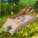 Turtle Bathing Pool Feeding Dish Durable Reptile Water Bowl For Box Turtles Frogs And Pets Easy To Clean Habitat Accessory_voghion.com
