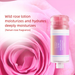 Fragrance Shower Filter, Universal Household Pre-Filter Cartridge For Aromatherapy And Skin Care Water_voghion.com
