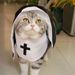Little Cat Costume Pet Clothes Repair Dog Outfit Breathable Funny Cosplay Photo Props Small And Medium Ins Internet_voghion.com