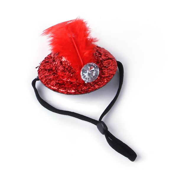 Haustier-Hühnerbedarf Geeignetes lustiges Hutzubehör Dressing für Kleintiere_voghion.com