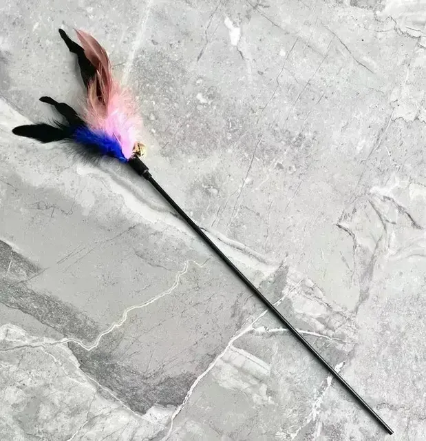 MOONBIFFY Interactive Fishing Rod For Cats With Feathers By PawParty Store_voghion.com