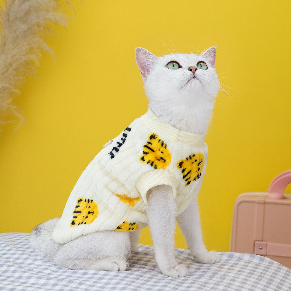 Ρούχα για κατοικίδια, Βαμβακερό γιλέκο, Μπλε ρούχα για γάτες, Νέα συλλογή Φθινοπώρου και Χειμώνα, 23 ρούχα από βελούδο Little Tiger_voghion.com