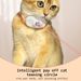 Rechargeable Motion Activated Cat Laser Toy Cat Teaser Laser Collar ,Interactive Cat Toys For Indoor Cats/Kittene/Dog_voghion.com