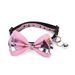 New Pet Halloween Series Woven Bow Cat Collar With Bell_voghion.com