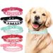 Collare fai da te con lettera Berry e nome, accessori per animali domestici, guinzaglio in PU, forniture per cani_voghion.com