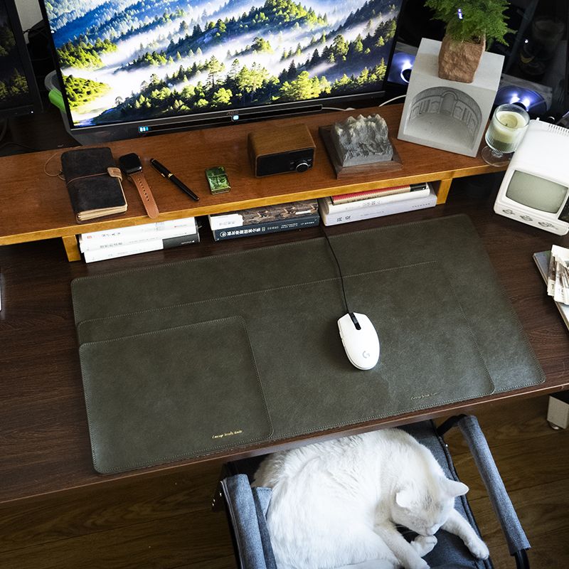 Unbeatable Quality Thickened Skeleton-Skin Large Oversized Fancy Desk Laptop Keyboard Leather Mouse Pad_voghion.com