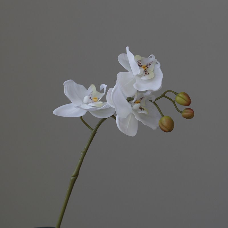 Flower 3D hand-feel plastic Phalaenopsis 3 heads 5 heads 7 heads home hotel decoration ornaments flower arrangement fake flowers realistic_voghion.com