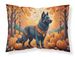 Belgian Sheepdog Fall Standard Pillowcase Lightweight Super Soft Easy Care Decorative Artwork Pillowcase, Standard_voghion.com