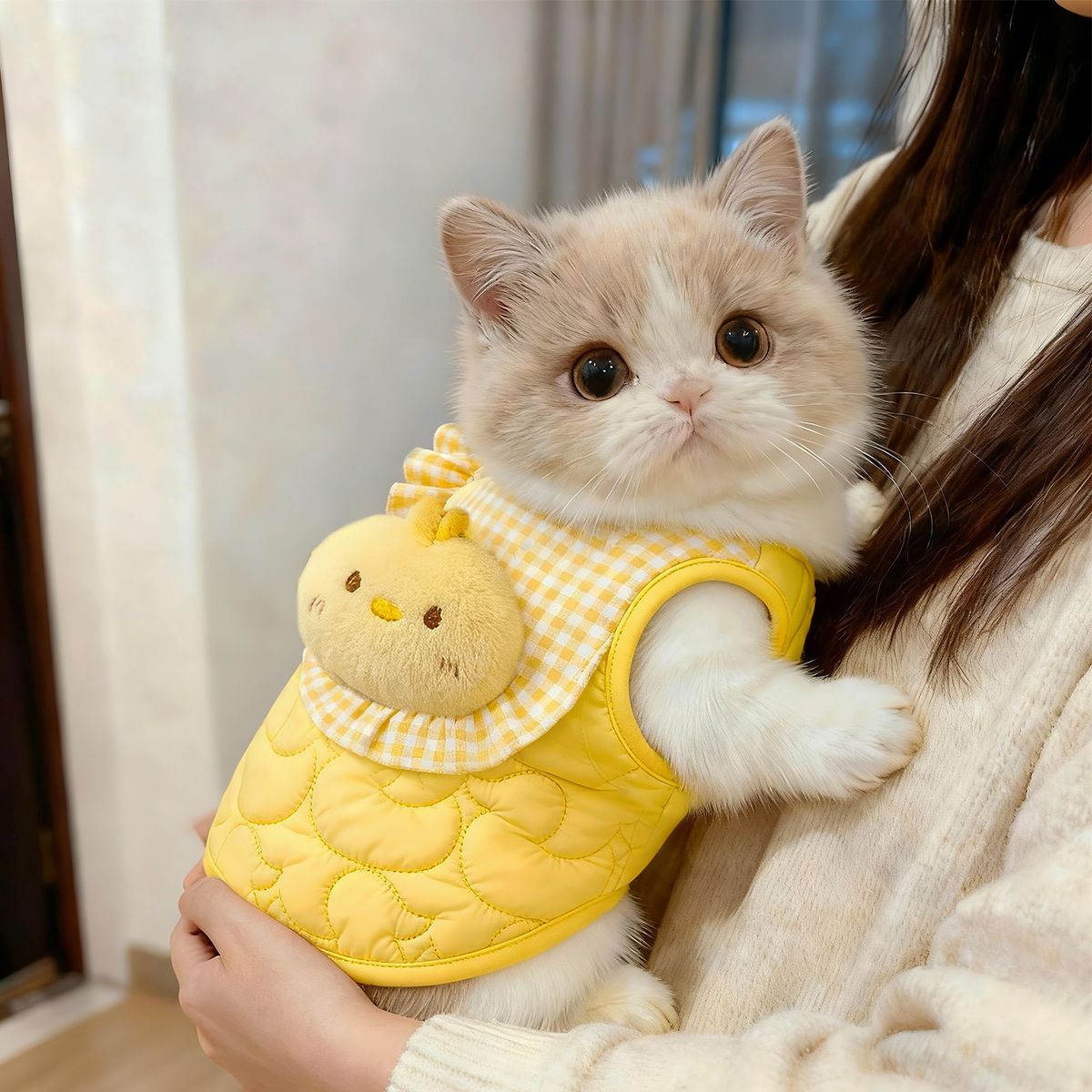 Cat Clothes Autumn And Winter Velvet Vest Cute Silver Gradual Layer Puppet Warm Winter Cotton Clothes Thickened_voghion.com