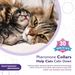 Collare regolabile calmante e lenitivo per gatti, antistress e ansia, in scatola_voghion.com