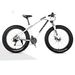 Direct Sales Snowmobile 26/ 20inch Dual Disc Brake Mountain Snow Beach Fat Tire Variable Speed Bicycle_voghion.com