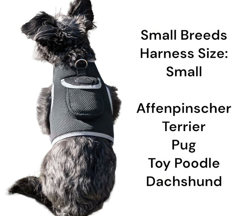 Wireless Live Pet Tracking with Pet Tracker Portable Cat Dog GPS Tracker Size:XXL_voghion.com
